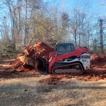 Ferguson Tree Service - Tree Services Near Me Ferguson Tree Service - Tree Services Near Me