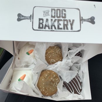 The Dog Bakery - Half a dozen baked goodies for the angels! - Pet Stores Near Me - Pasadena, California The Dog Bakery - Half a dozen baked goodies for the angels! - Pet Stores Near Me - Pasadena, California
