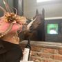 Photo of Live Oak Arabians