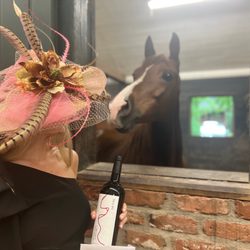Live Oak Arabians - Sunny admiring a hat worn for "Day at the Derby," an annual special event to benefit St. Jude Children's Research Hospital