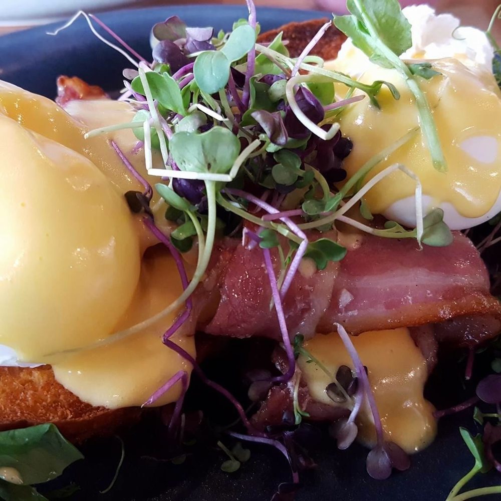 Winona Forever - Coffee & Tea Near Me - Auckland, AUK