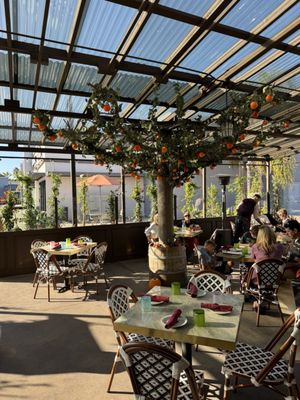 Romanella Cucina Romana by null