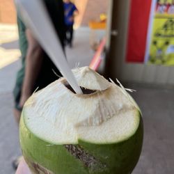 Dr Flea's Flea Market - Costa Rica young coconut juice