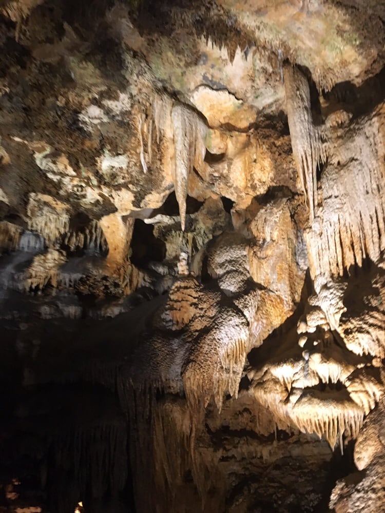 Maple Lawn Montessori - childcare center in Chantilly, VA