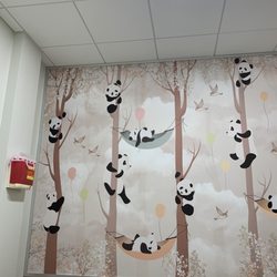 Silver Spring Pediatrics