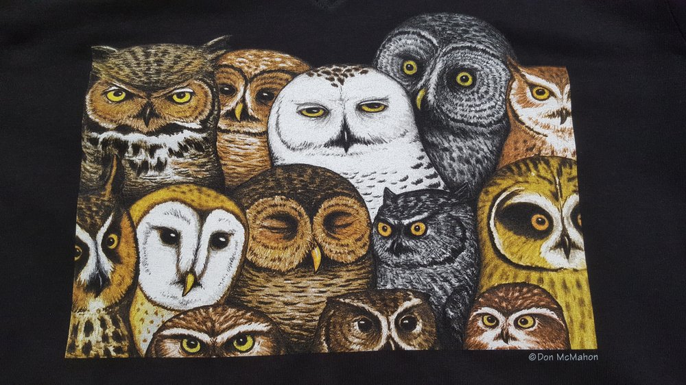 DISTINCT IMPRESSION Updated October 2024 3262 S Richey Ave, Tucson