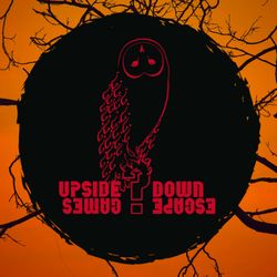 Upside Down Escape Games