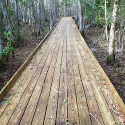 Shoreline Lumber