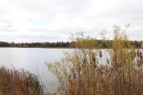 Island Lake Conservation Area by null