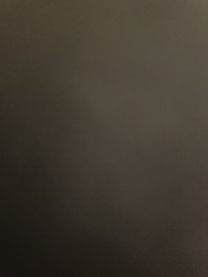 Little Caesars Pizza by null