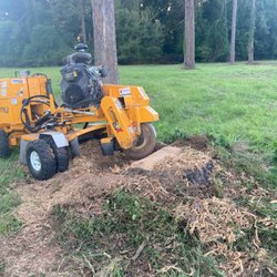 The Stump Guy