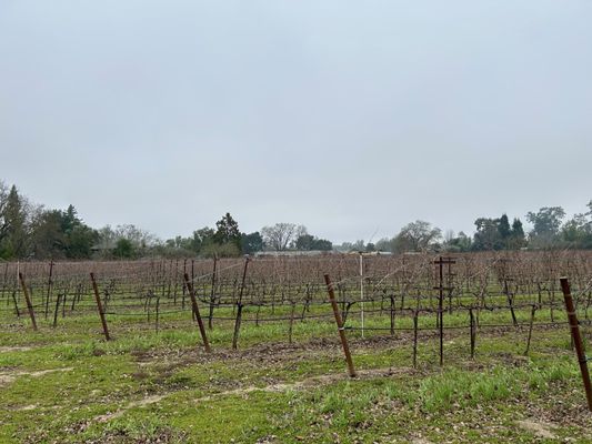 Bread & Butter Wines by null