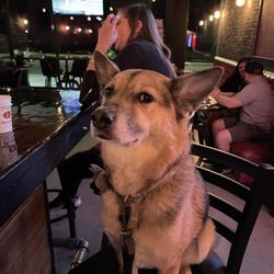 The Warehouse Tavern