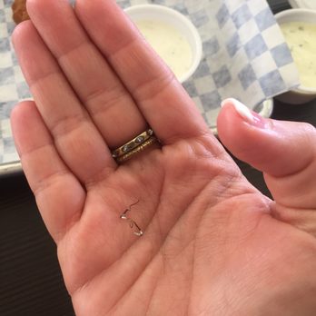 Super Shack - Shard of Metal found in fried pickles. - Seafood Near Me - McKinney, Texas Super Shack - Shard of Metal found in fried pickles. - Seafood Near Me - McKinney, Texas