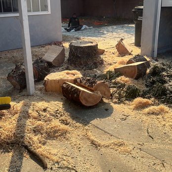 Paez Tree Service - Tree Services Near Me - Anaheim, California