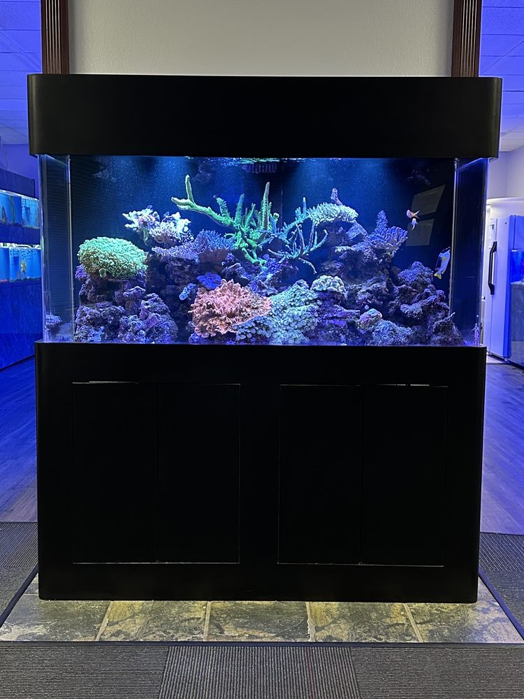 ULTIMATE AQUARIUM Updated September 2024 22 Photos & 13 Reviews 4343 W Noble Ave, Visalia