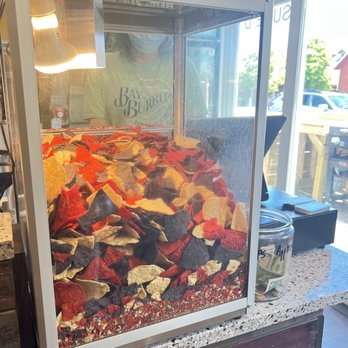 Bay Burrito - a fish tank full of chips - Tex-Mex Near Me - Suttons Bay, Michigan