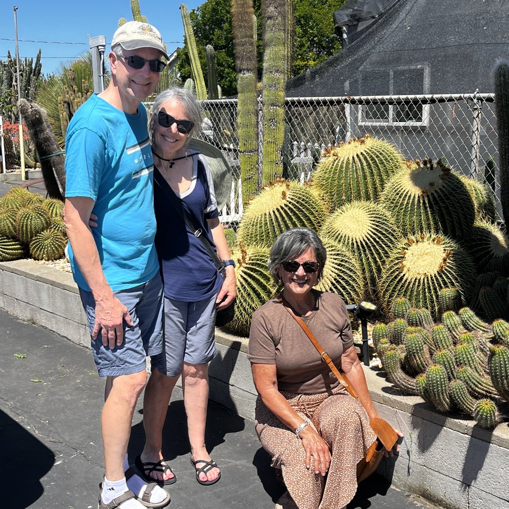 Poot's Cactus Nursery - Picture with the enormous barrel cactus.
May 2024 - Nurseries & Gardening Near Me - Ripon, California Poot's Cactus Nursery - Picture with the enormous barrel cactus.
May 2024 - Nurseries & Gardening Near Me - Ripon, California