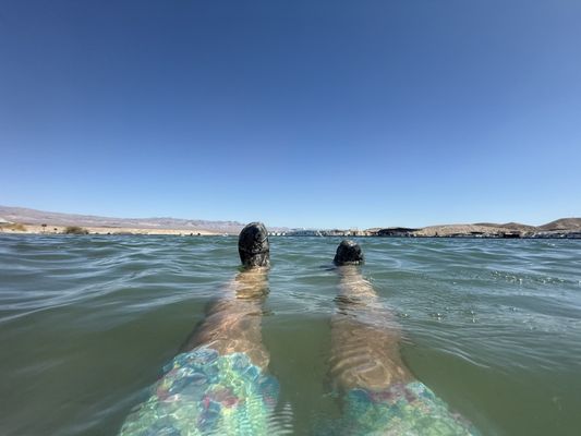 Cottonwood Cove Resort & Marina by null