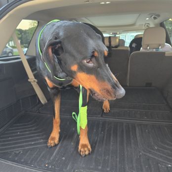 Revive Veterinary Emergency & Specialty Hospital - Emergency Pet Hospital Near Me - Prosper, Texas