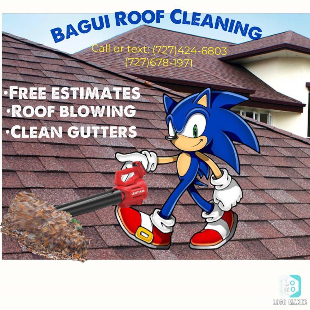 Slide of Bagui Roof Cleaning