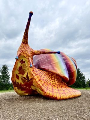 Conifer Walk by null