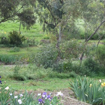 Nola's Iris Garden - Nurseries & Gardening Near Me - San Jose, California