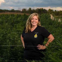 Glenna's CBD Best Oil - Harvesting at our Rochester, NY Farm