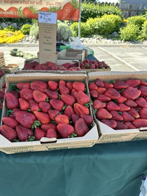 Tamarack Junction Farmers Market by null