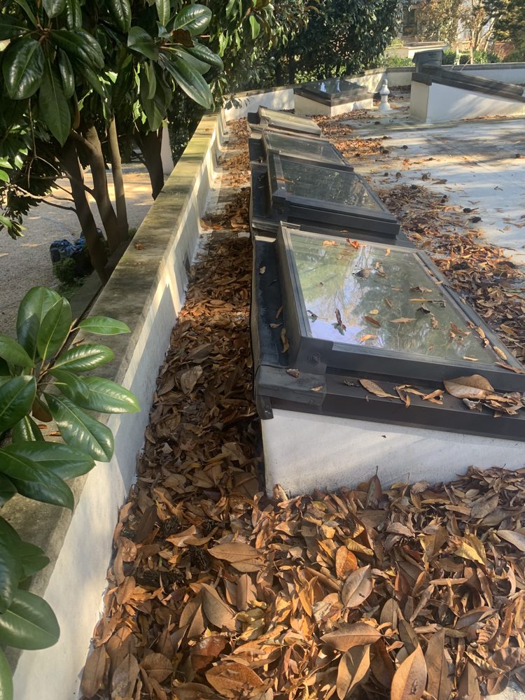 VENTURA LANDSCAPE Updated April 2024 Request a Quote 31 Photos