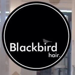 Blackbird Hair Salon