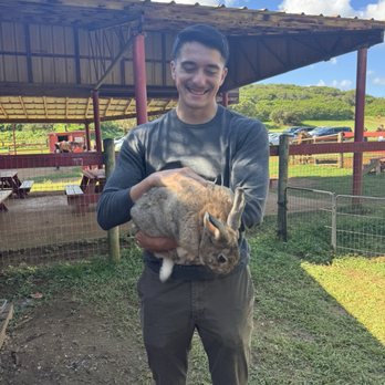 Gunstock Ranch - We love the rabbits - Horseback Riding Near Me - Laie, Hawaii Gunstock Ranch - We love the rabbits - Horseback Riding Near Me - Laie, Hawaii