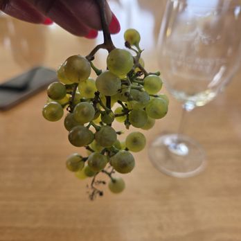 Rustic Roots Winery - Wine Tasting Room Near Me - Scandia, Minnesota