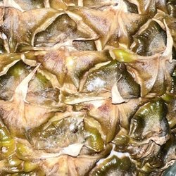 Food 4 Less - Moldy fuzz