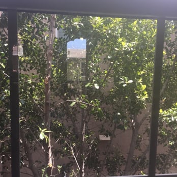 Squeegee Pro - Our windows after being cleaned by SQUEEGEE PRO! You can see the reflection everywhere! - Window Washing Near Me - Costa Mesa, California