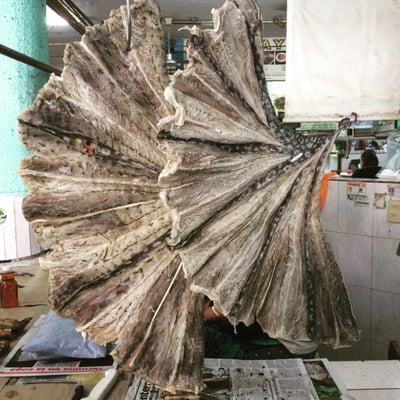 Mercado Lucas De Galvéz by null