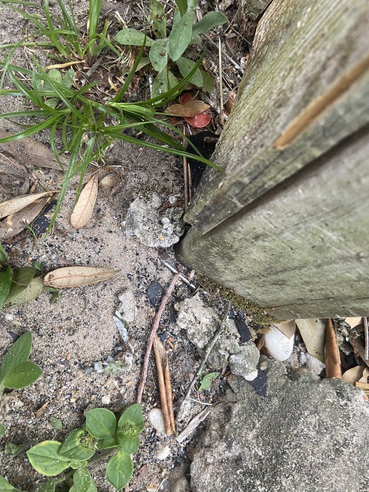 Slide of Coastal Roofing Professionals