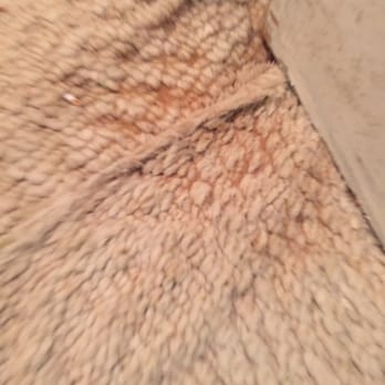 Treasure Realty - More blood? - Property Management Near Me Treasure Realty - More blood? - Property Management Near Me
