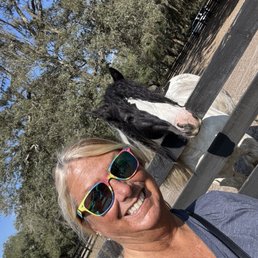 Thank you Gypsy Gold Horse Farm! It was a pleasure!