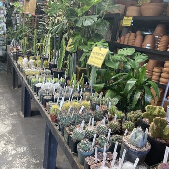 Eco Gro - Inside the store on the right. - Nurseries & Gardening Near Me - Tucson, Arizona Eco Gro - Inside the store on the right. - Nurseries & Gardening Near Me - Tucson, Arizona