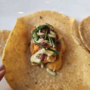El Vez - Highly recommend these tacos which are back for a limited time! The fish sits on a blanket of pureed sweet potatoes. So good - Mexican Near Me - Philadelphia, Pennsylvania El Vez - Highly recommend these tacos which are back for a limited time! The fish sits on a blanket of pureed sweet potatoes. So good - Mexican Near Me - Philadelphia, Pennsylvania