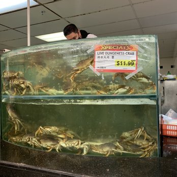 99 Ranch Market - Live seafood - Grocery Near Me - Richmond, California