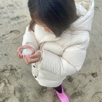 Seascape Beach Resort - Collecting seashells. - Venues & Event Spaces Near Me - Aptos, California