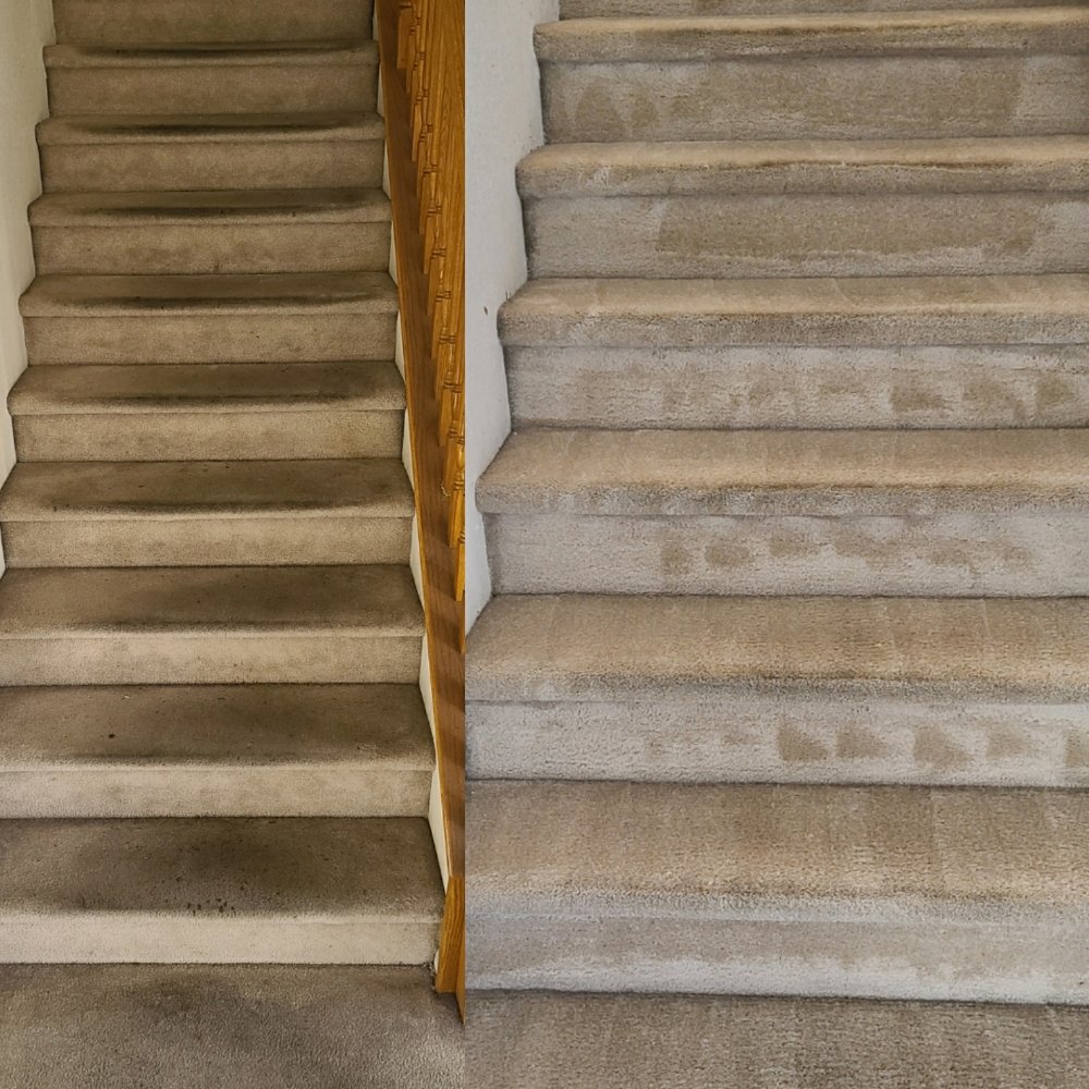 BULLDOG CARPET CLEANING - 58 Photos & 20 Reviews - Henderson, Nevada