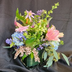 Florabunda Bucks County