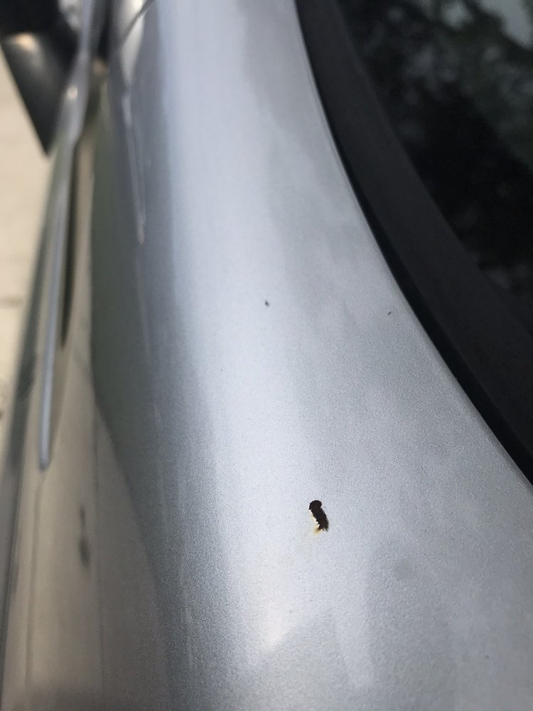 CALIBER COLLISION Updated July 2024 22 Photos & 13 Reviews 7615 Merritt St, Norfolk