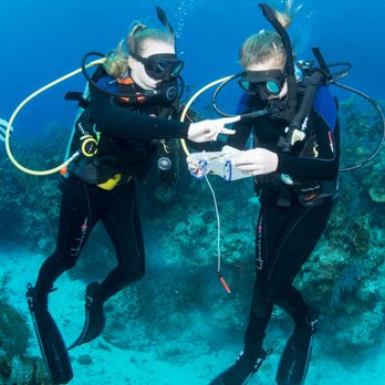 Ocean First - Ocean First TIDES - https://oceanfirst.blue/tides - Swimming Lessons/Schools Near Me - Boulder, Colorado Ocean First - Ocean First TIDES - https://oceanfirst.blue/tides - Swimming Lessons/Schools Near Me - Boulder, Colorado