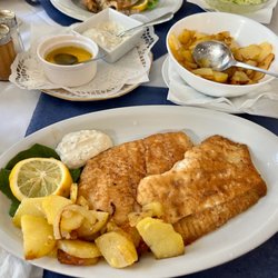 Schleimöwe - Leckeres Schollenfilet