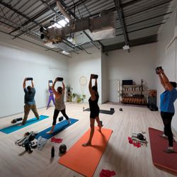 Wyld Roots Yoga & Wellness