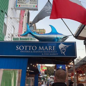 Sotto Mare - Seafood Near Me - San Francisco, California Sotto Mare - Seafood Near Me - San Francisco, California